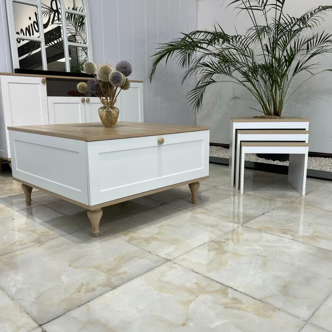 میز تلویزیون لئو سایز 160 سانت